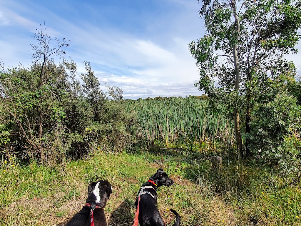 Lake Elijah | Lucas Ln, Lucas VIC 3350, Australia | Phone: 0412 886 039