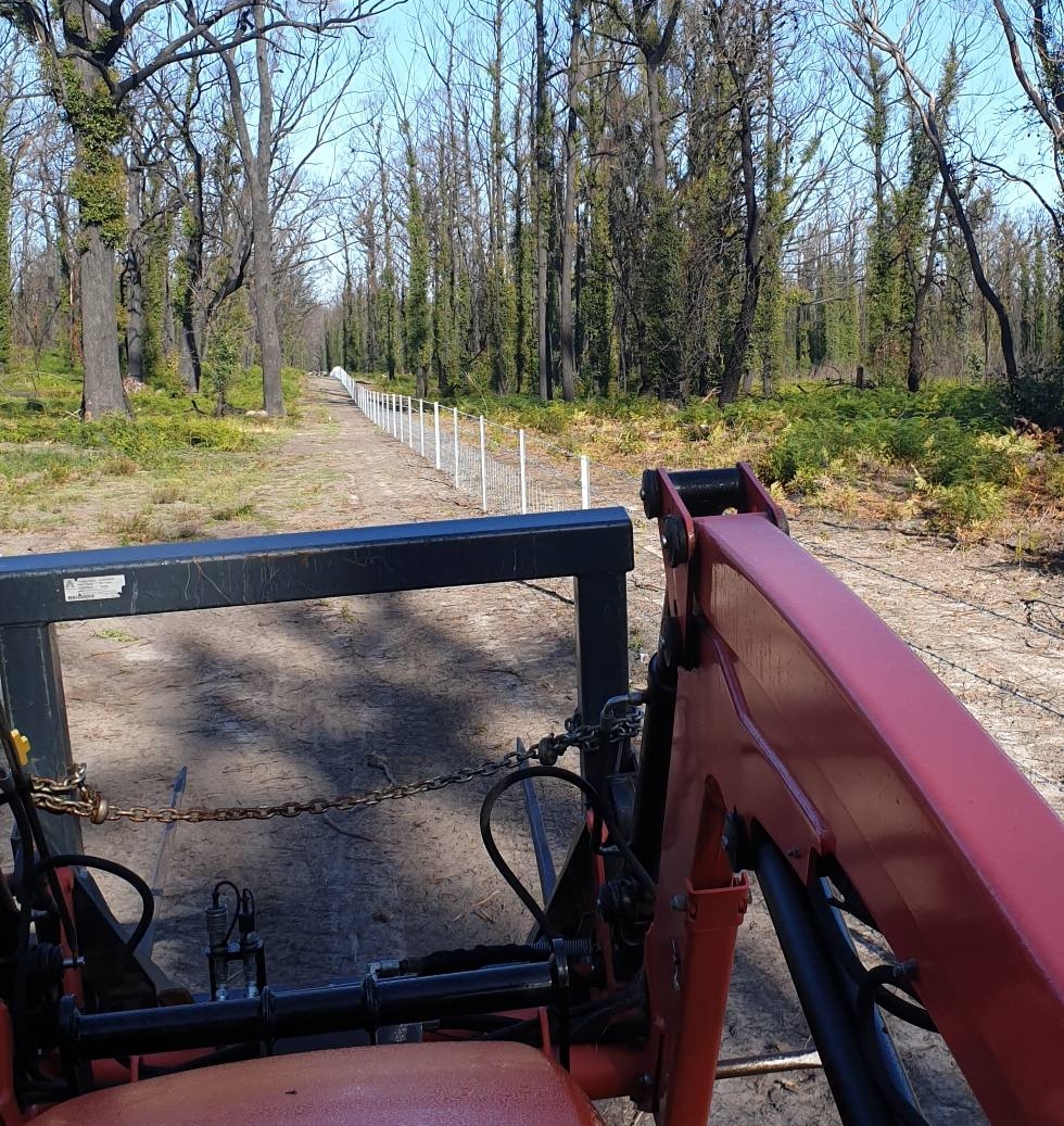 T&S Rural Fencing | general contractor | 124 Flaggy Creek Rd, Flaggy Creek VIC 3875, Australia | 0427950987 OR +61 427 950 987