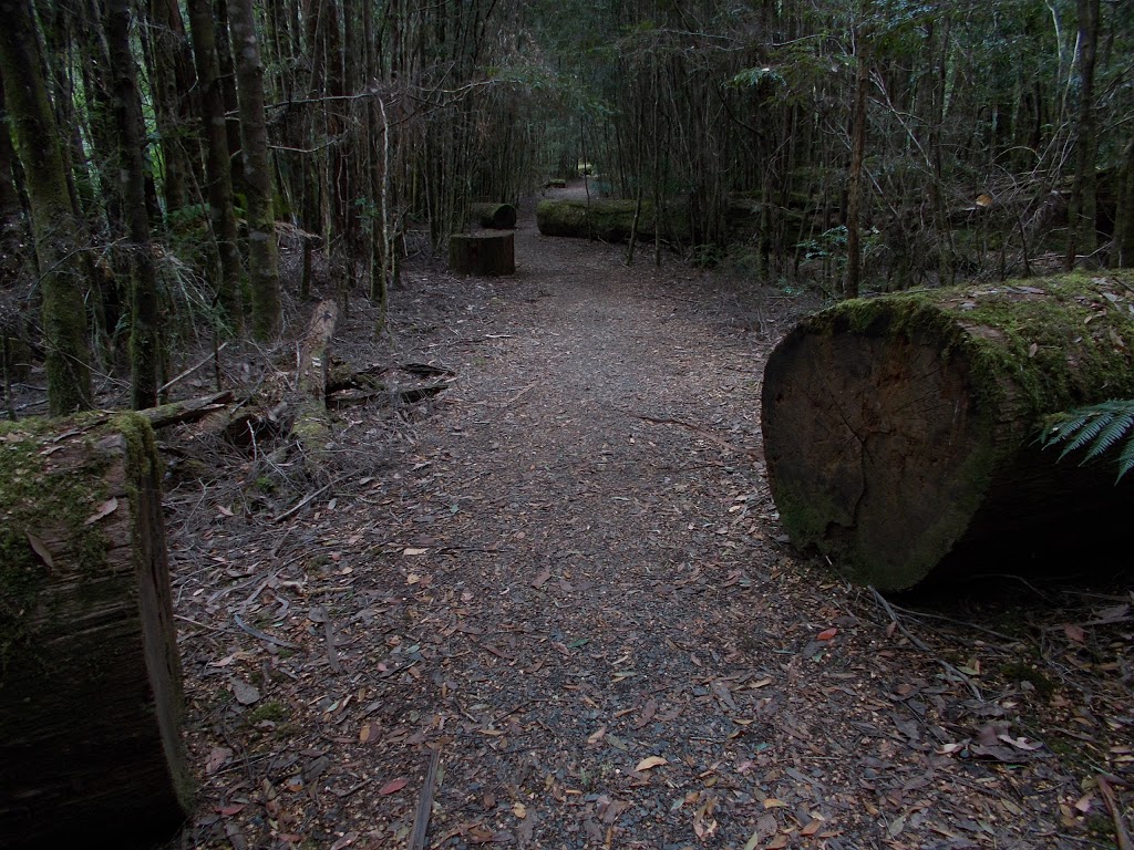 Big Tree Forest Reserve | park | Styx TAS 7140, Australia