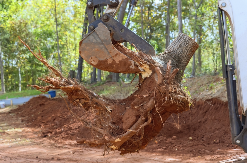 Ace Clearing & Mulching | 146 Heron Rd, Old Bar NSW 2430, Australia | Phone: 0416 090 654