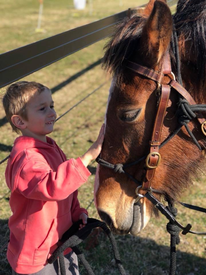 Eulinga Park Equine centre | 387 Sale-Heyfield Rd, Fulham VIC 3851, Australia | Phone: 0429 808 269