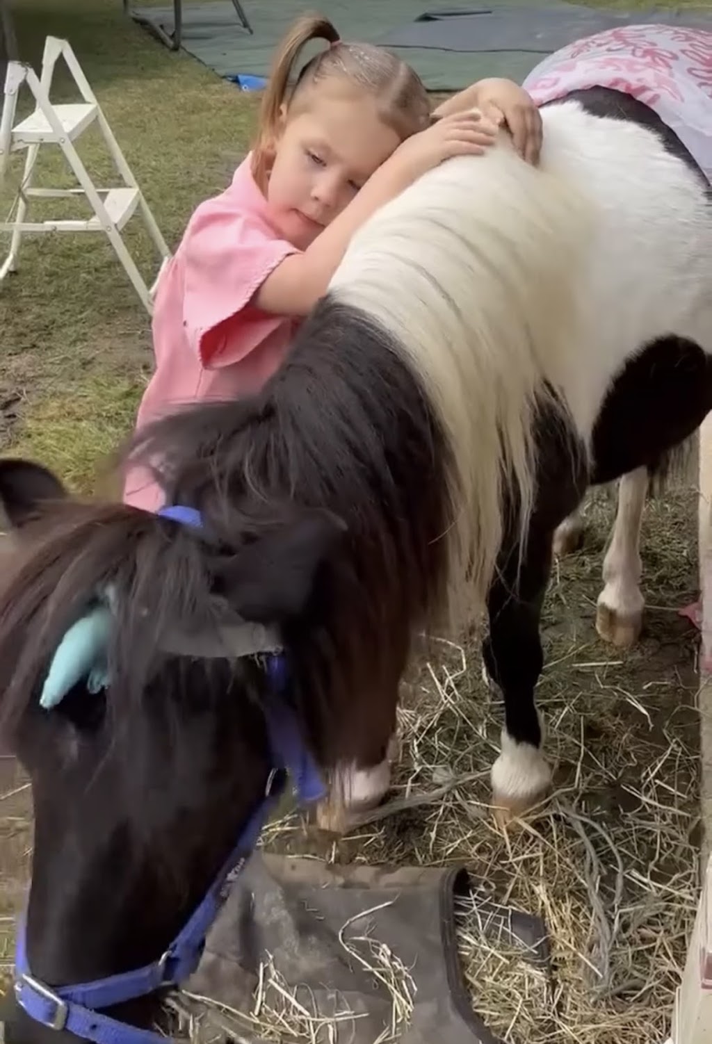 Blu Sky Pony Rides | 125 Beveridge Rd, Beveridge VIC 3753, Australia | Phone: 0413 079 219
