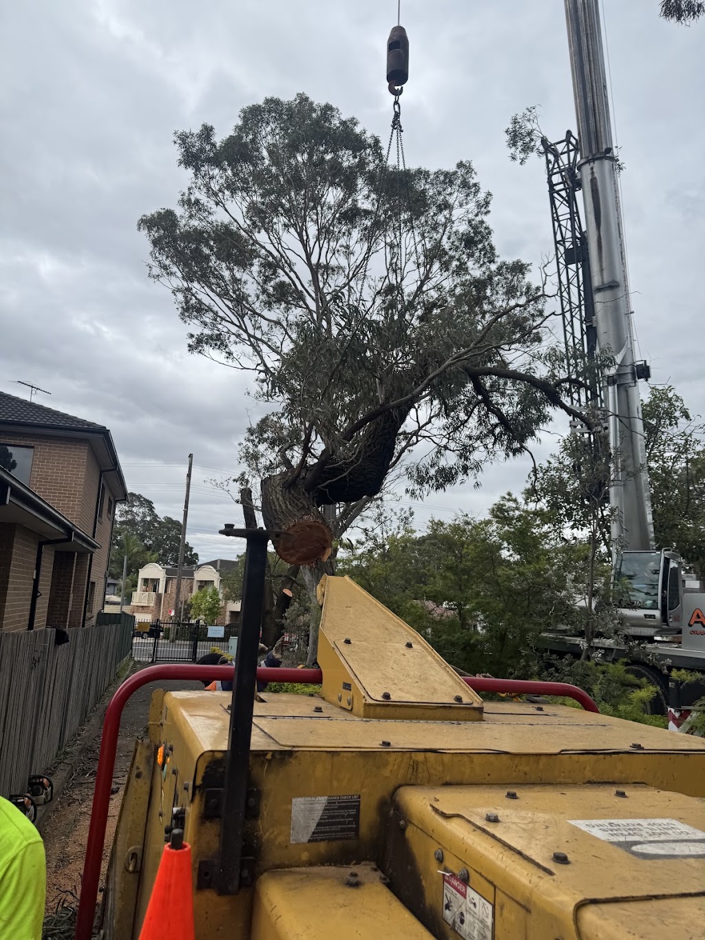 Above All Tree Services | 67 Achilles Rd, Engadine NSW 2233, Australia | Phone: 0412 708 072