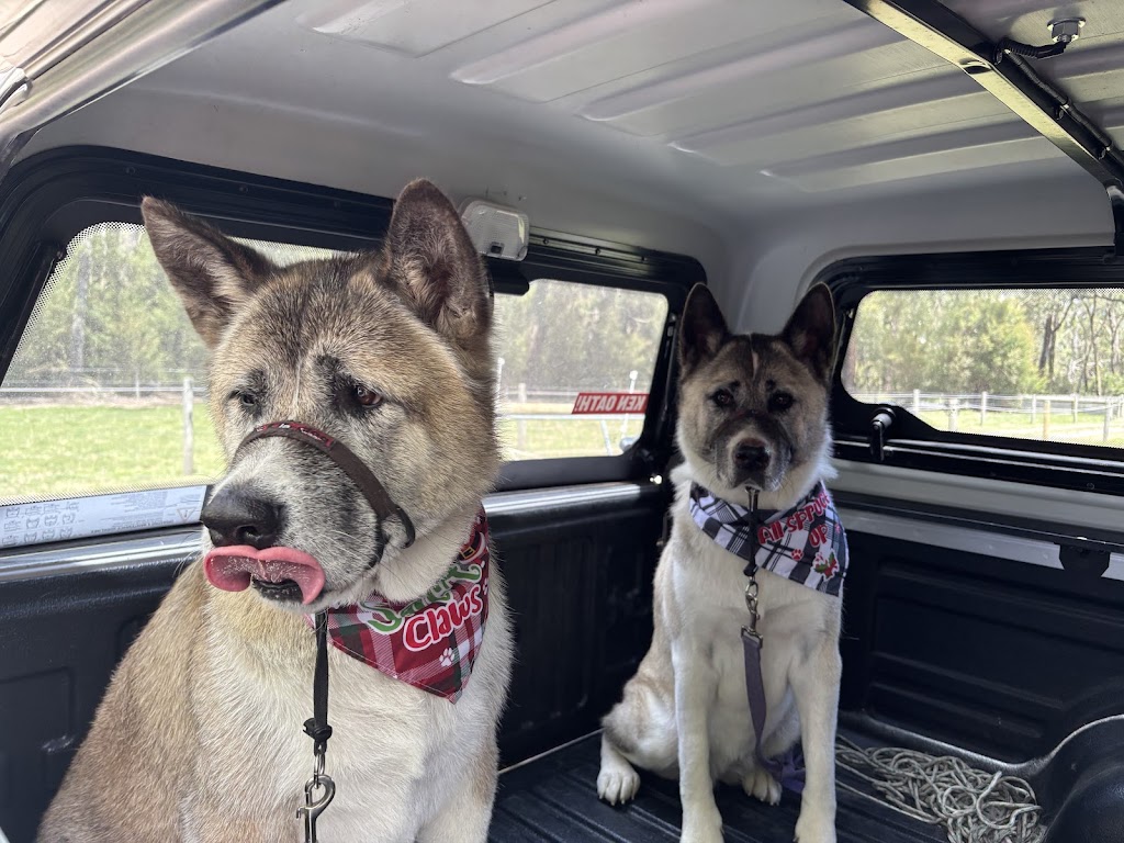 Alli’s Dog Grooming | 1039 Drouin-Korumburra Rd, Athlone VIC 3818, Australia | Phone: 0493 831 933