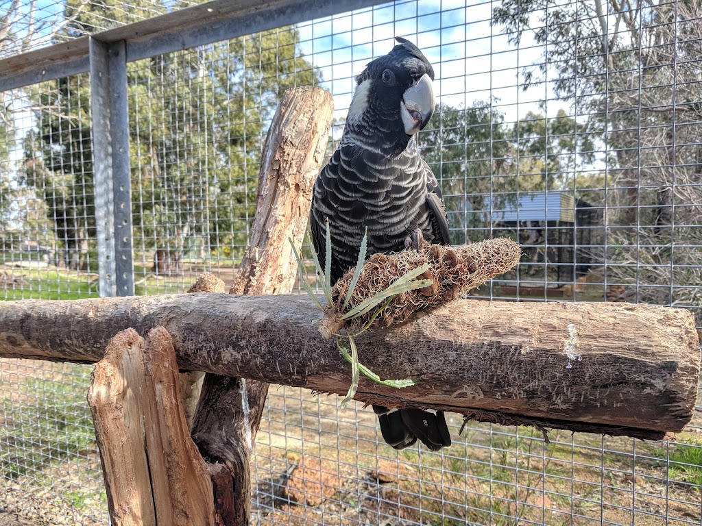 Kaarakin Black Cockatoo Conservation Centre | tourist attraction | 322 Mills Rd E, Martin WA 6110, Australia | 0893902288 OR +61 8 9390 2288