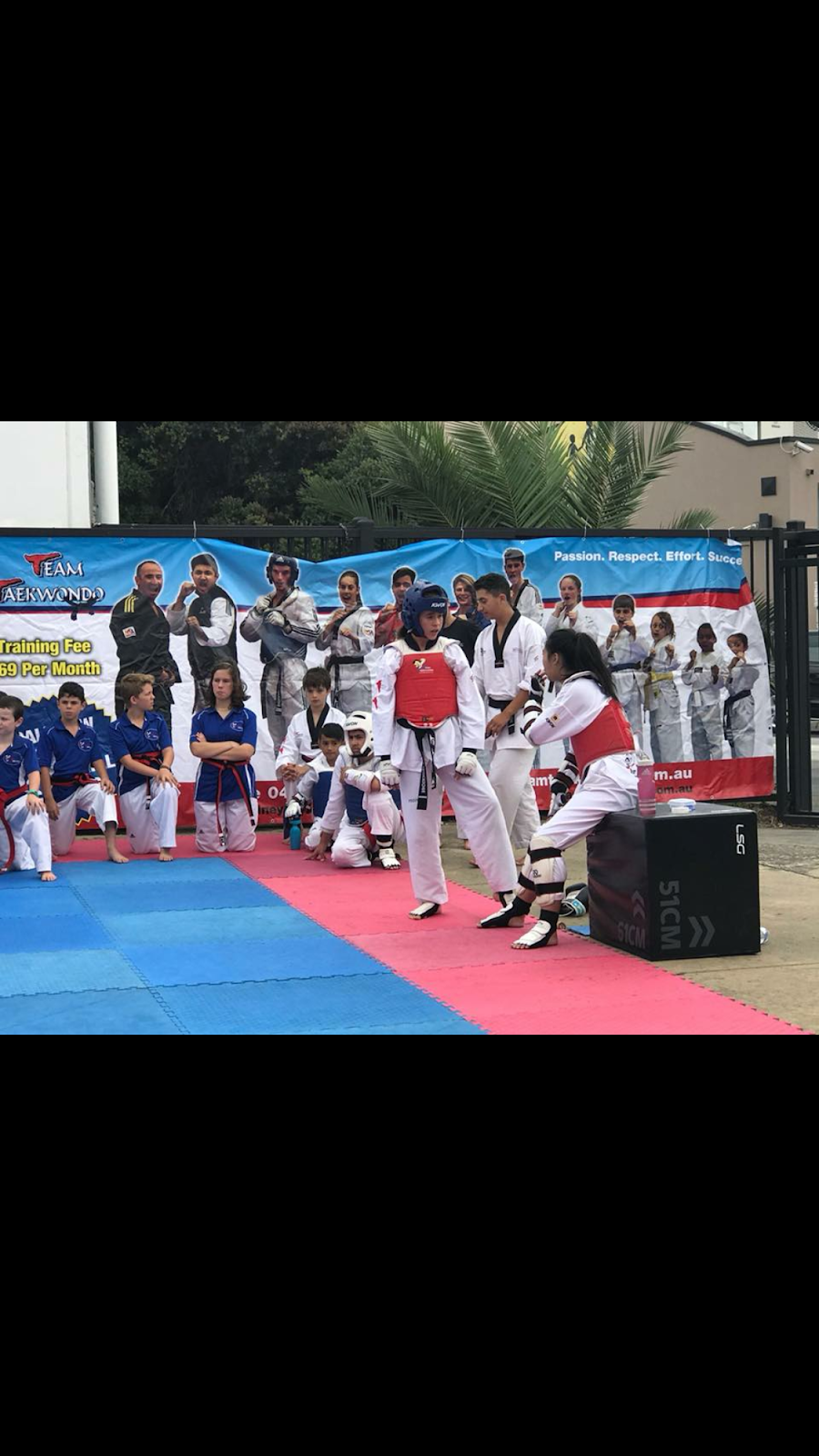 Team Taekwondo | health | 592 Sydney Rd, Coburg VIC 3058, Australia | 0408437111 OR +61 408 437 111