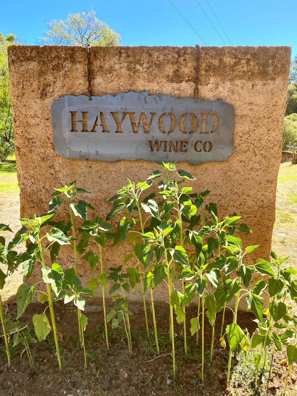 Haywood Wine Company | 7388 Bussell Hwy, Yelverton WA 6280, Australia | Phone: 0409 577 580