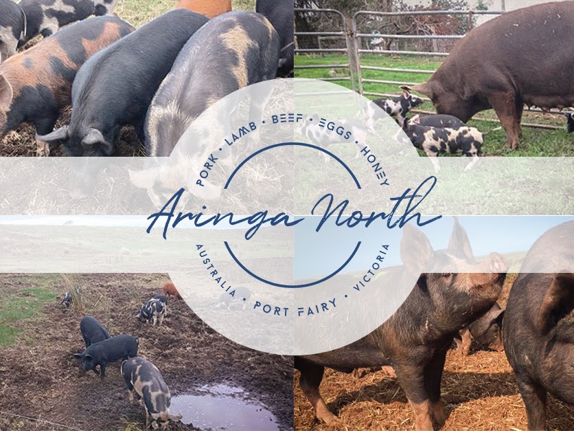 Aringa North | 1357 Hamilton-Port Fairy Rd, Port Fairy VIC 3284, Australia | Phone: 0428 304 743