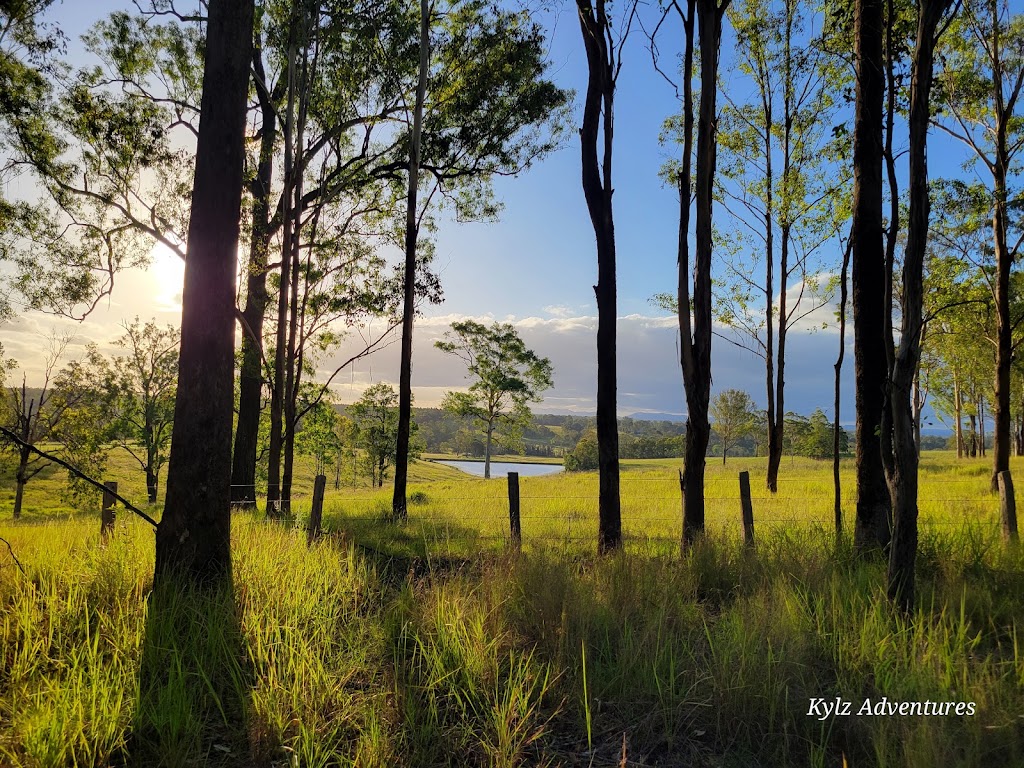 Bom Bom State Forest Campground | Bom Bom NSW 2460, Australia | Phone: (02) 9872 0111