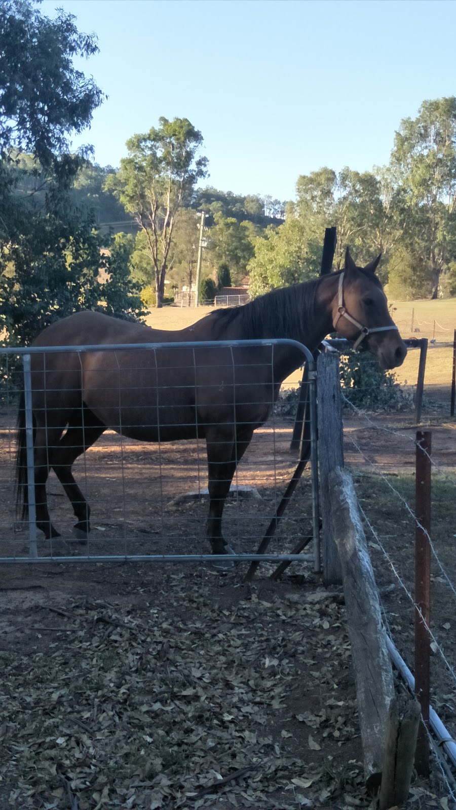 Rothbury Escape | lodging | 310 Talga Rd, Rothbury NSW 2320, Australia | 0249307011 OR +61 2 4930 7011