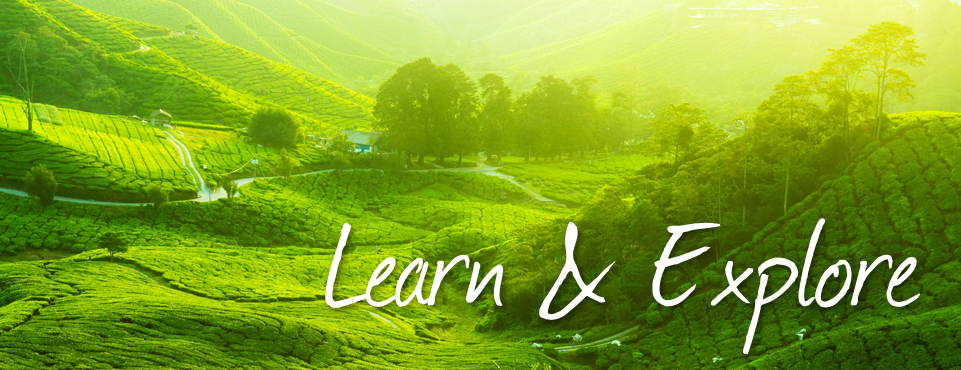 learnwithme | 10 Wallace Ave, Lenah Valley TAS 7008, Australia | Phone: 0448 676 493