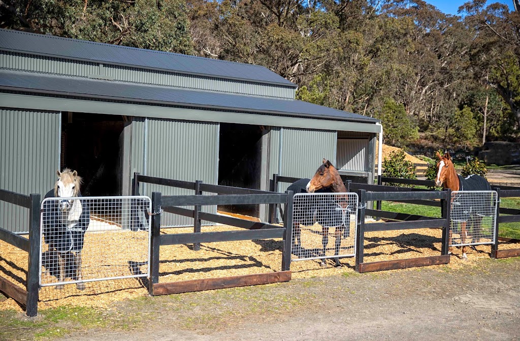 Horse Shepherd Park |  | 160 Gascards Ln, Gordon VIC 3345, Australia | 0429239326 OR +61 429 239 326