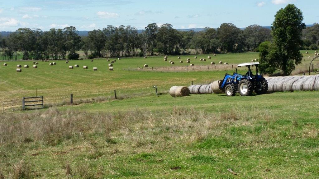 Edenholme Farmstay | lodging | 106 Jones Rd, Goodger QLD 4610, Australia | 0457622729 OR +61 457 622 729