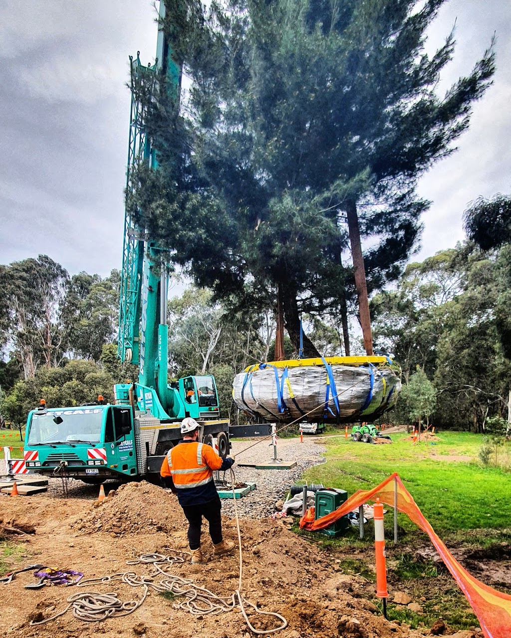 Precise Tree Services pty Ltd. | Kew, Kew East VIC 3102, Australia | Phone: 0499 440 084