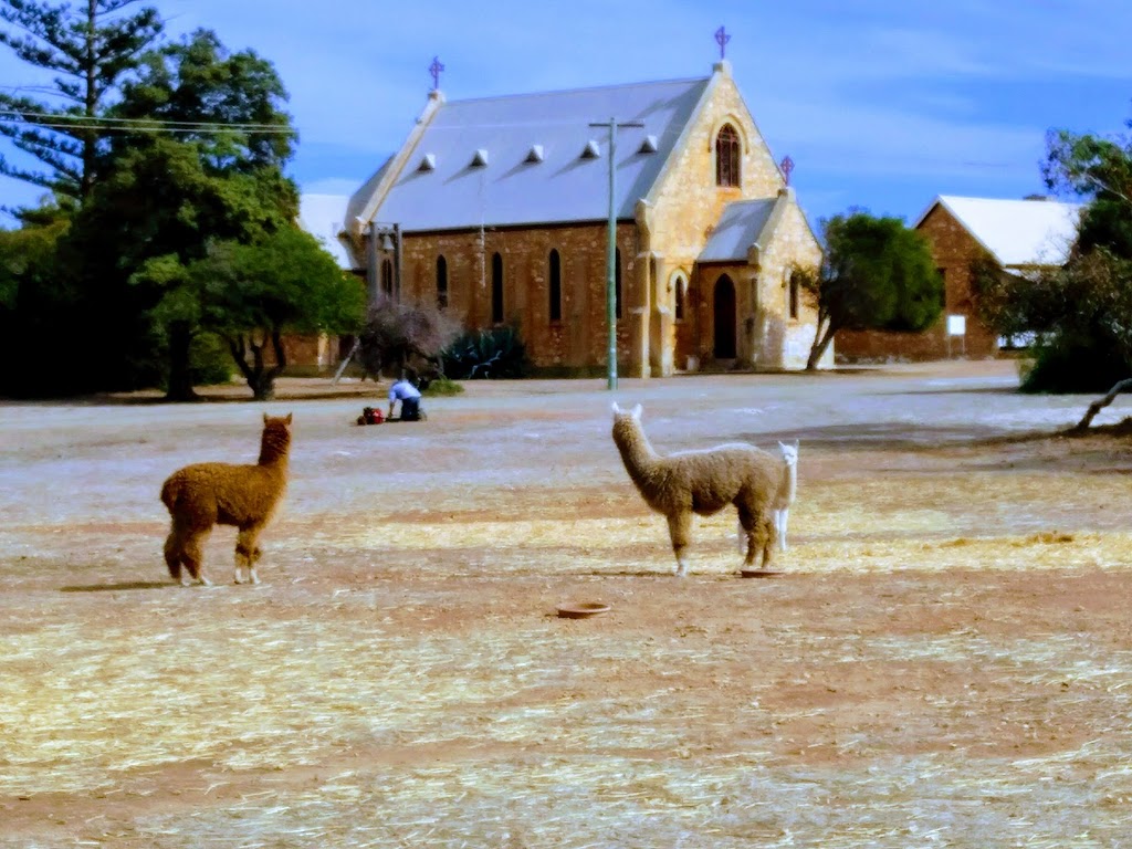 Greenough Pioneer Museum and Gardens | Phillips Rd, Greenough WA 6532, Australia | Phone: (08) 9926 1890