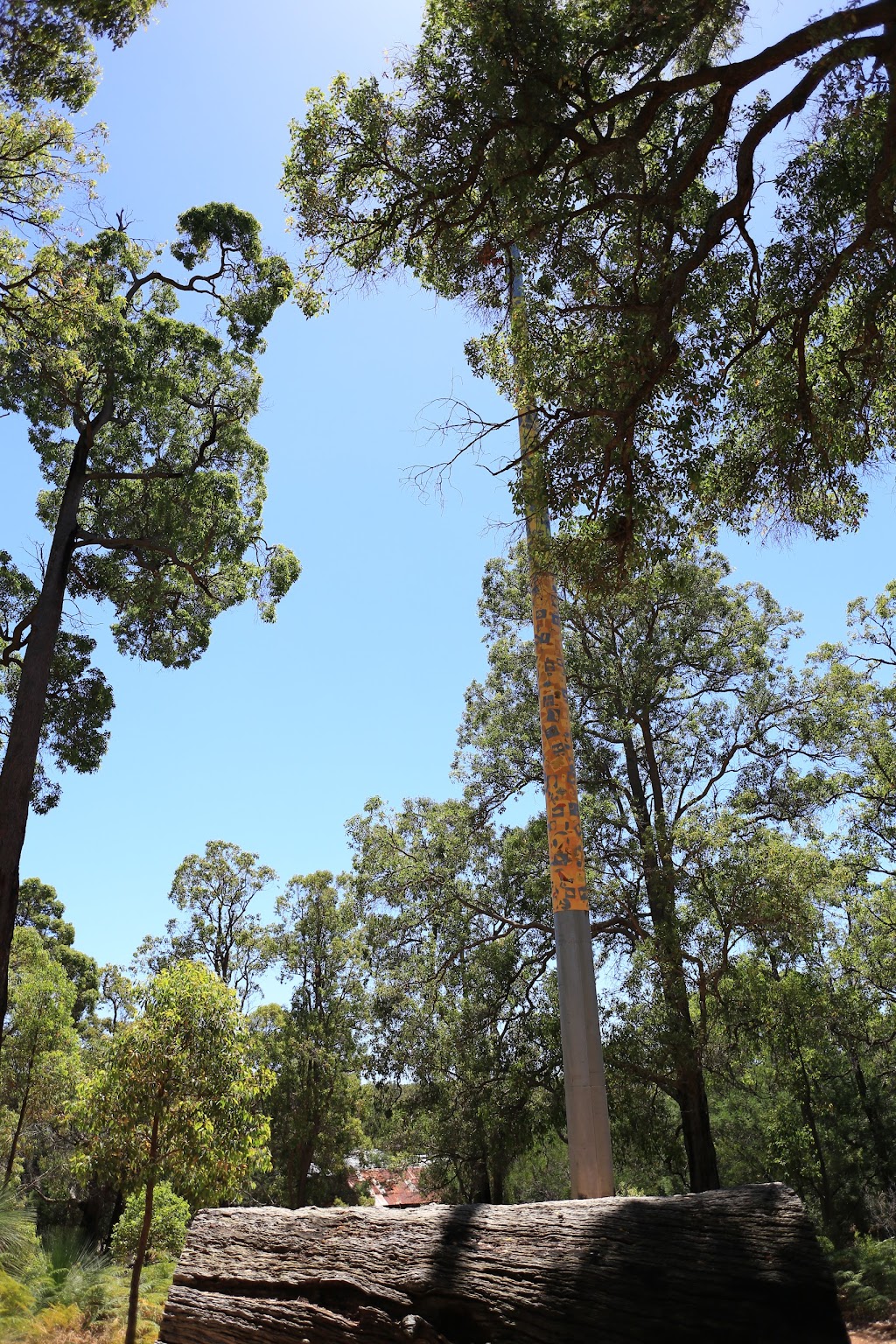 Indicator pole and Log |  | 12 Staff St, Jarrahdale WA 6124, Australia | 95255161 OR +61 95255161