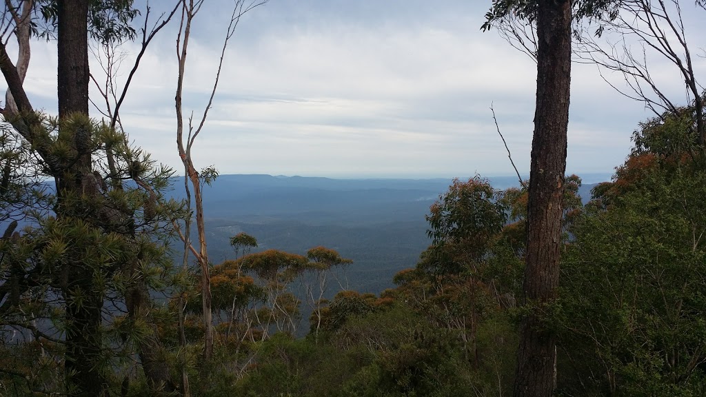 Mount Imlay National Park | Towamba NSW 2550, Australia | Phone: (02) 6495 5000