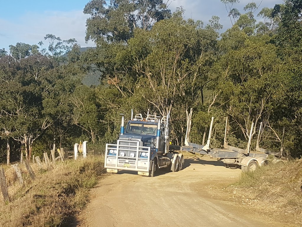 Georges Creek Nature Reserve | Jeogla NSW 2350, Australia