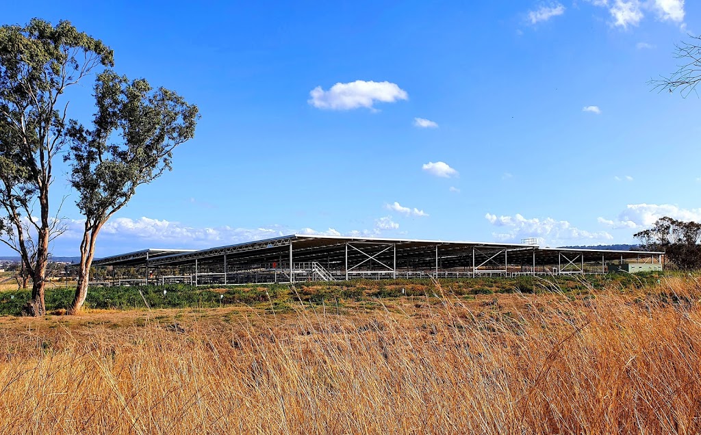 Inverell Regional Livestock Exchange | Yetman Rd, Inverell NSW 2360, Australia | Phone: 0419 901 288