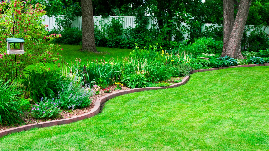Saunders Affordable Lawn Services | 49 Helensvale Rd, Helensvale QLD 4212, Australia | Phone: 0401 257 118