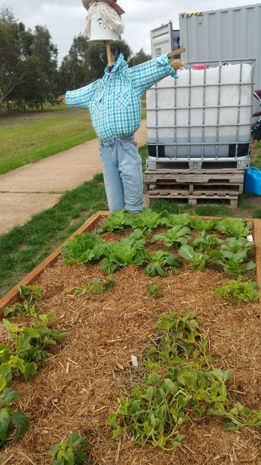 Williams Landing Community Garden | Williams Landing VIC 3027, Australia