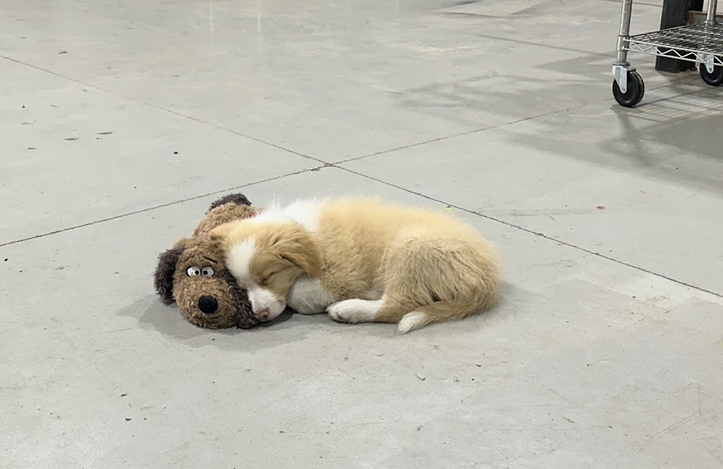 Mona Cottage | 14-18 Mona Rd, Woongarrah NSW 2259, Australia | Phone: 0436 360 834