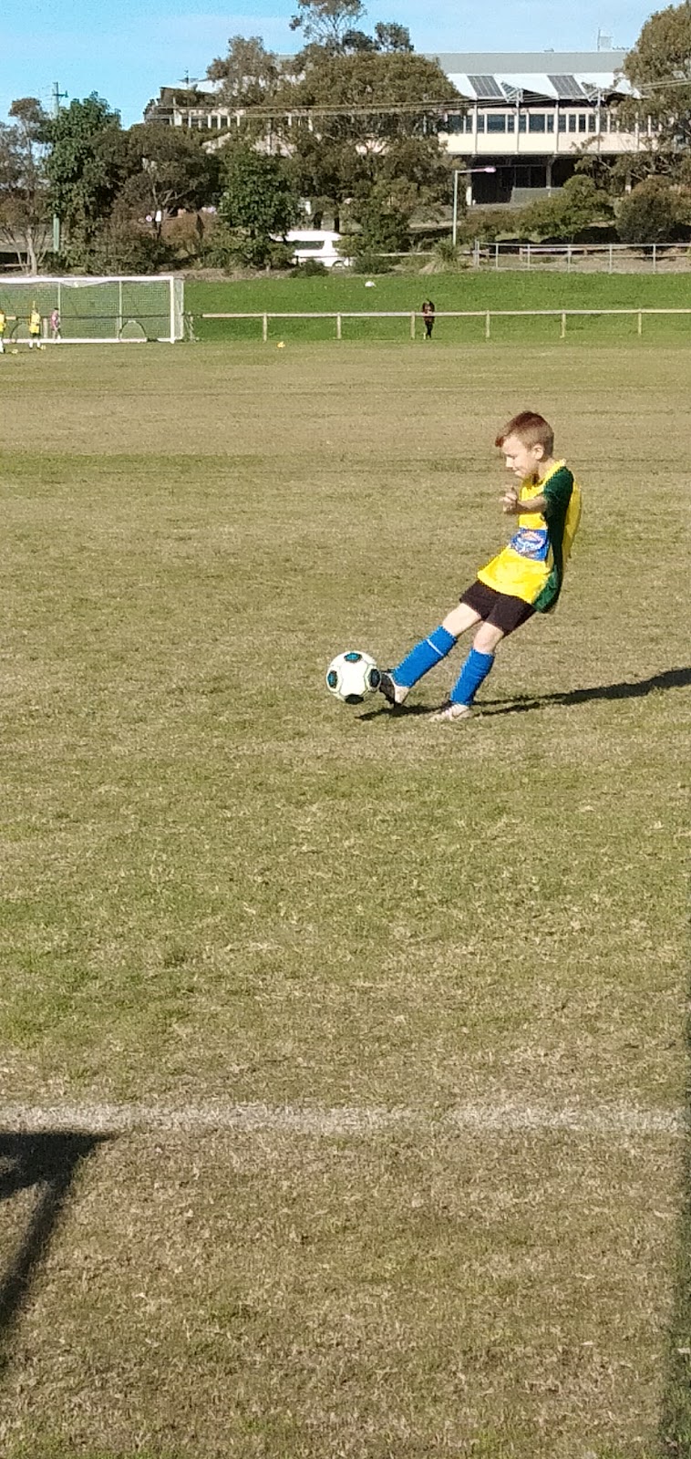 Shellharbour Junior FC | Shellharbour NSW 2529, Australia | Phone: 0403 416 864