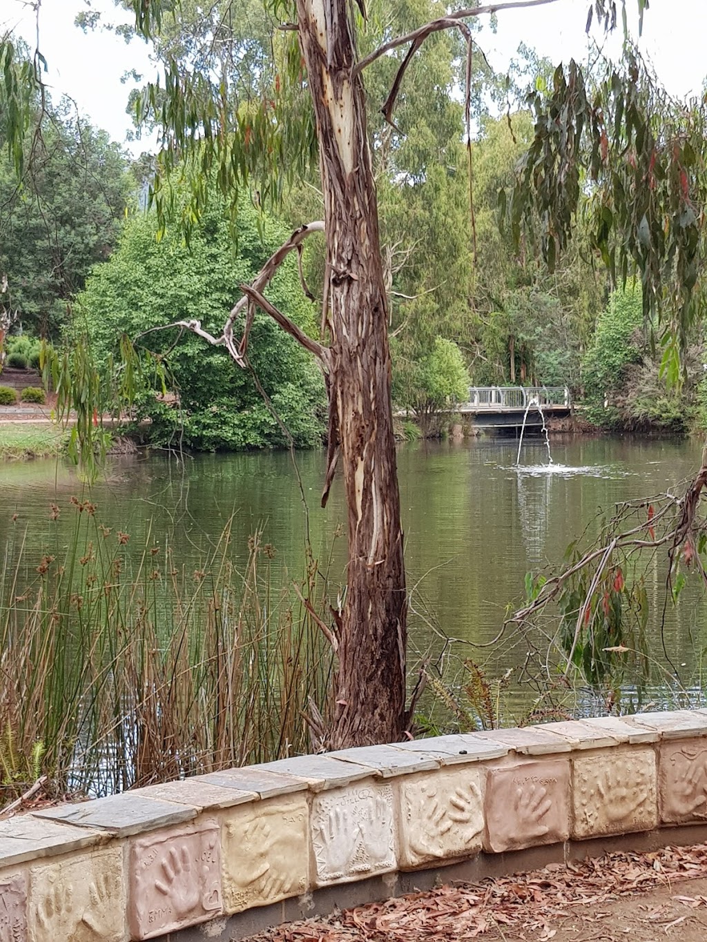Gallipoli Park | park | Marysville VIC 3779, Australia