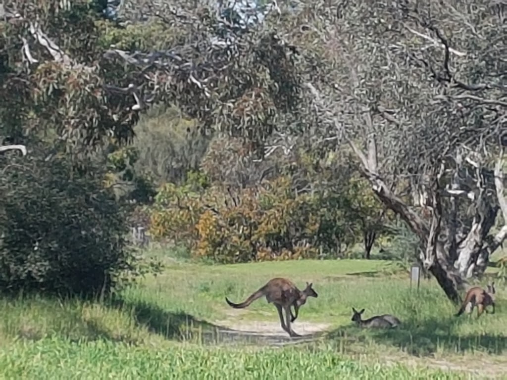 Tanunda Pines Golf Club | Pioneer Ave, Rowland Flat SA 5352, Australia | Phone: (08) 8563 1200