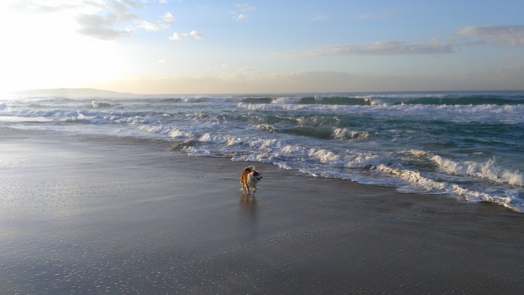 Greenhills Beach Dog Off Lead | park | Greenhills St, Kurnell NSW 2231, Australia