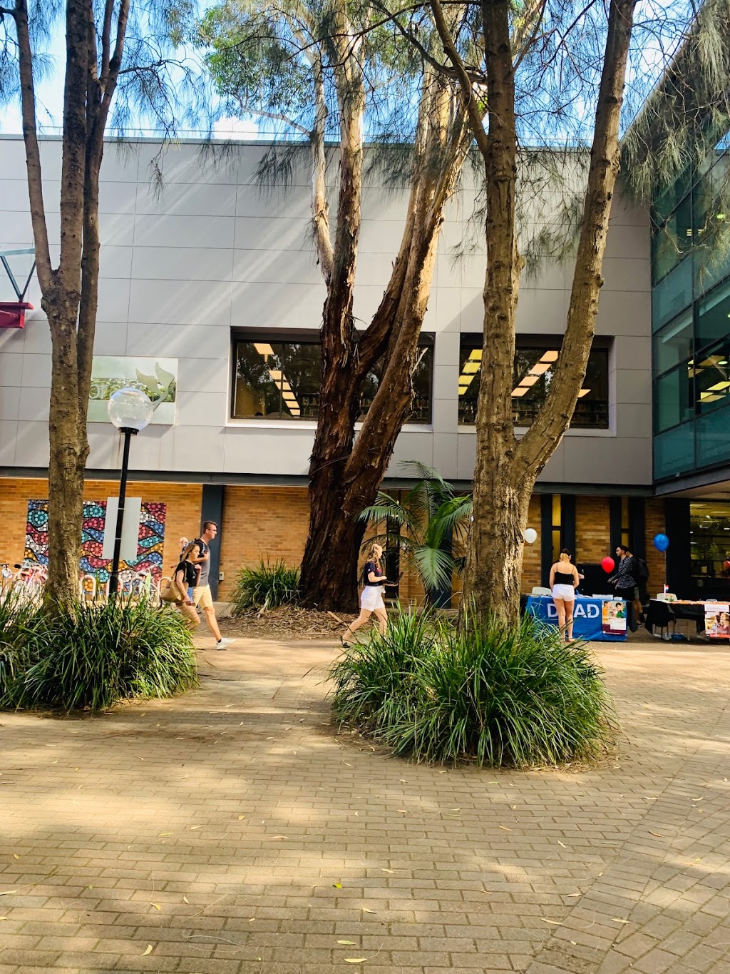 UOW Library | library | Wollongong Campus, Building 16/1 Northfields Ave, Keiraville NSW 2500, Australia | 0242213548 OR +61 2 4221 3548