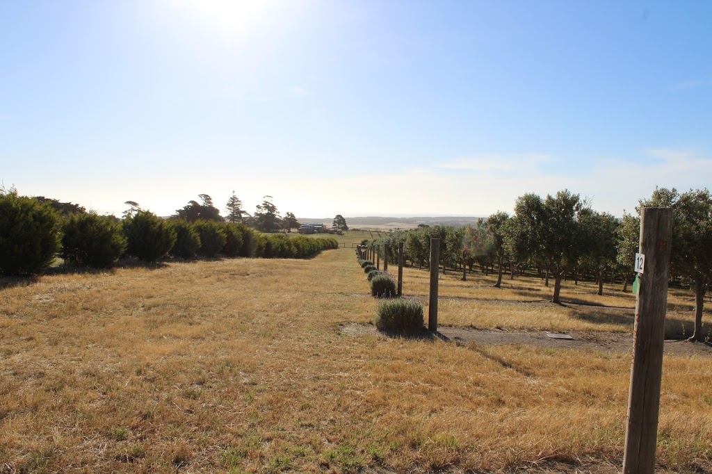 Cape Schanck Olive Estate | 145 Patterson Rd, Cape Schanck VIC 3939, Australia | Phone: (03) 9822 0028