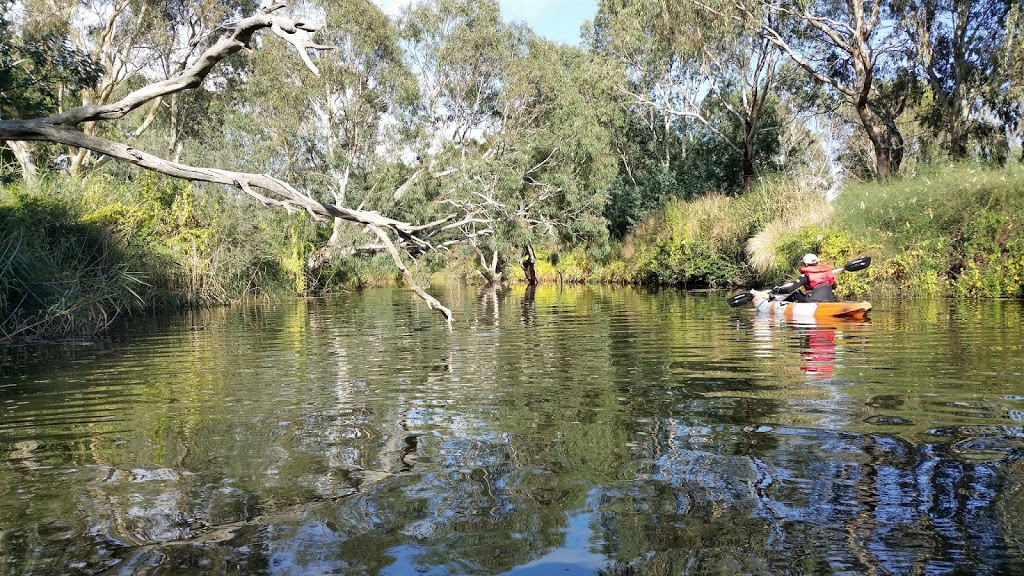 Mooralbool and Barwon Rivers junction | park | Barwon Aqueduct River Trail, Highton VIC 3216, Australia