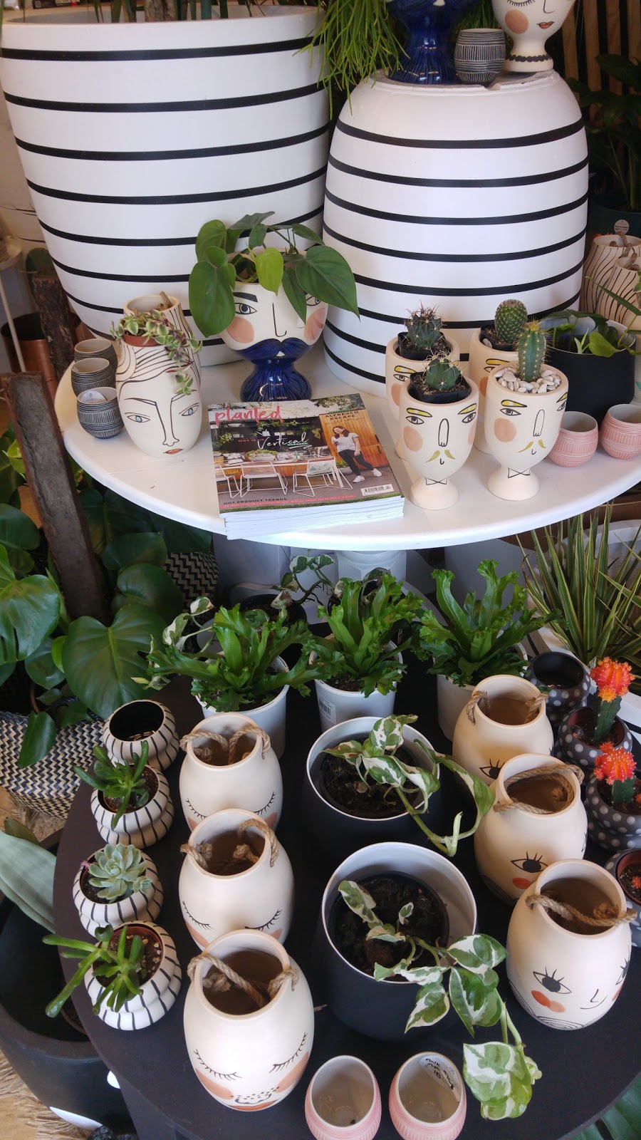 Olive Green Plant & Prop | home goods store | 15 Lelean St, Ocean Grove VIC 3226, Australia | 0418124731 OR +61 418 124 731