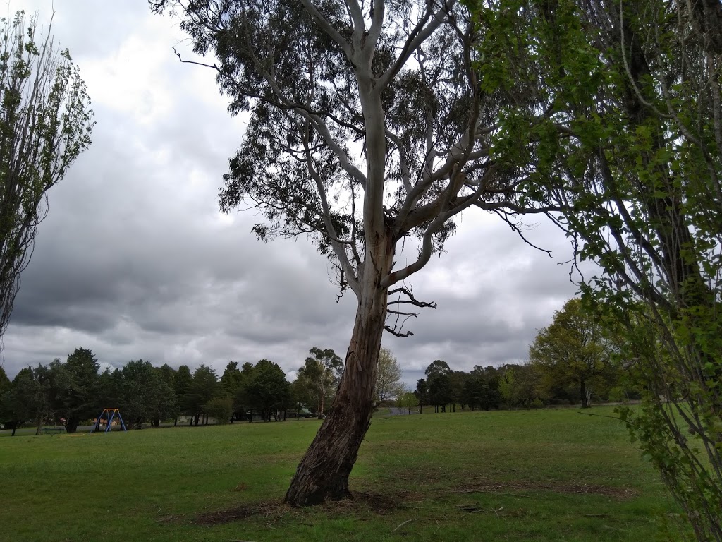 Drummond Park | park | North Hill NSW 2350, Australia