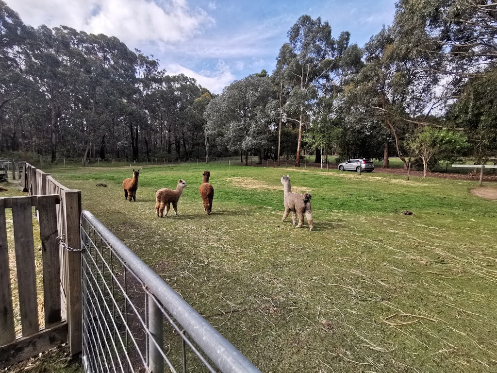 Otway Orchard Alpacas & Gifts | 205 Robinson Rd, Barongarook VIC 3249, Australia | Phone: (03) 5235 8474
