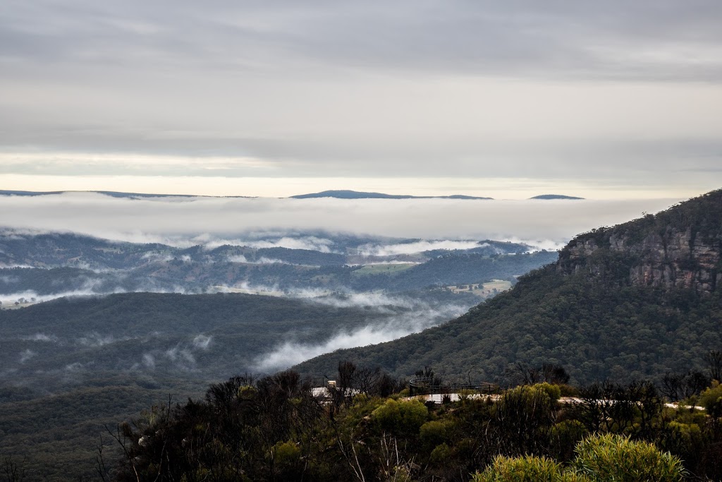 Harmonica | 279 Cliff Dr, Katoomba NSW 2780, Australia | Phone: 0421 663 162