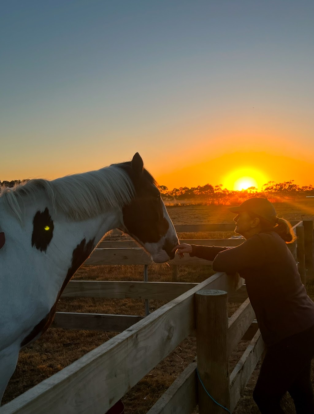 Surf Coast Mindfulness with Horses | 396 Thielemanns Rd, Gherang VIC 3240, Australia | Phone: 0407 559 272