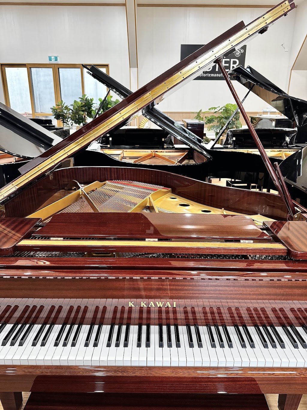 Australia Piano World | 8 Case St, Southport QLD 4215, Australia | Phone: (07) 5606 0199