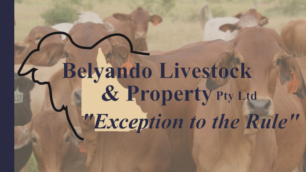 Belyando Livestock and Property PTY LTD | real estate agency | 28 Moore St, Alpha QLD 4724, Australia | 0428874240 OR +61 428 874 240