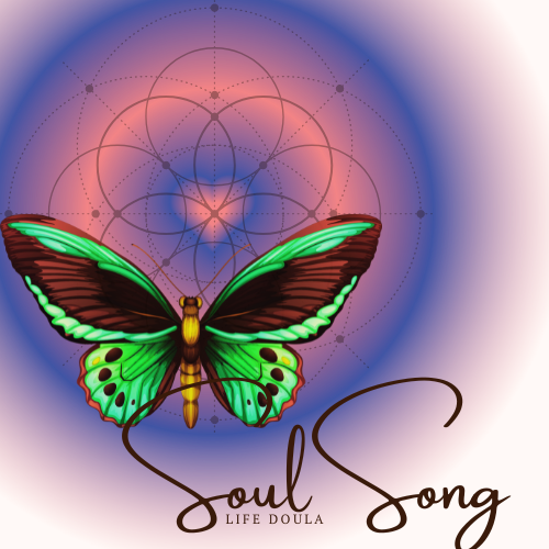 SoulSong | 1 West Rd, Nimbin NSW 2480, Australia | Phone: 0476 267 055