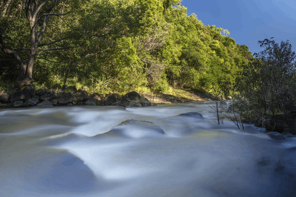 Praesentia | 88 Mollys Grass Rd, Tregeagle NSW 2480, Australia | Phone: 0402 094 733