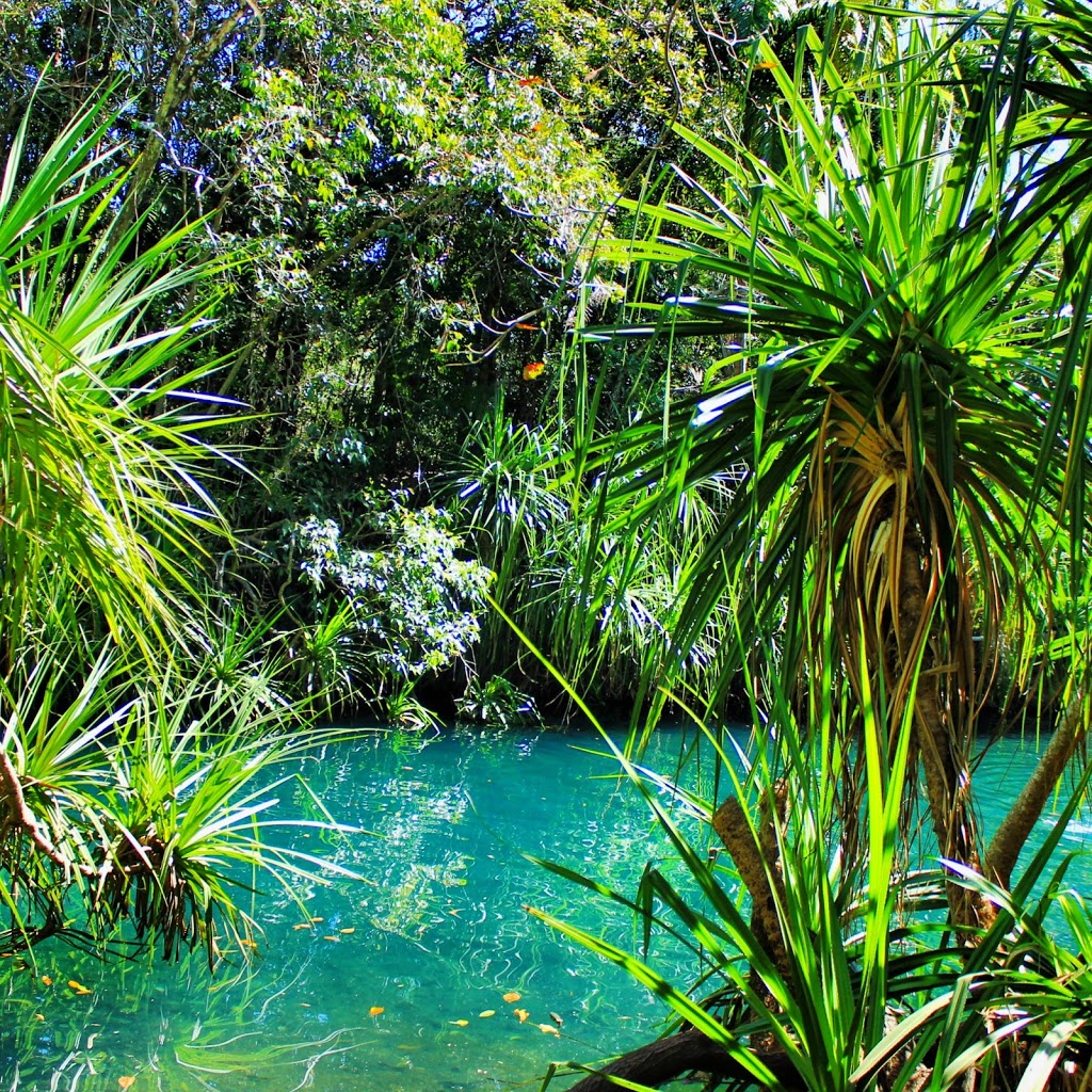 Berry Springs Waterhole | park | Berry Springs Nature Reserve, Berry Springs NT 0837, Australia | 0889886310 OR +61 8 8988 6310