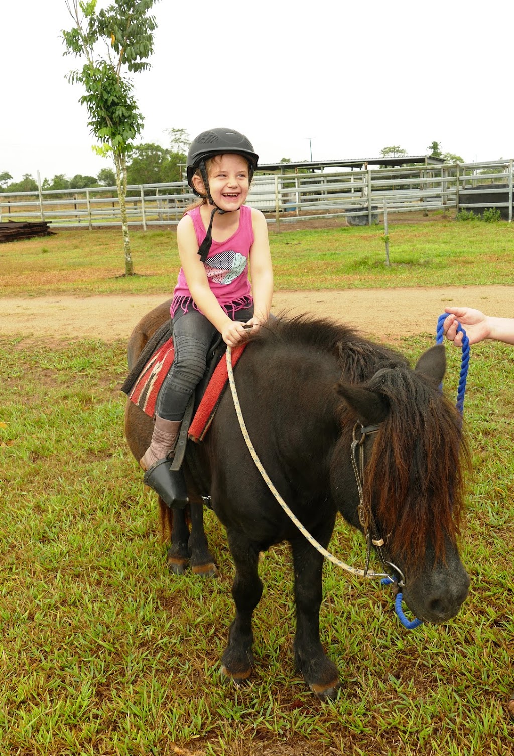 Reinsdown Horse Riding | 75 Aerodrome Rd, Tully QLD 4854, Australia | Phone: 0436 375 989