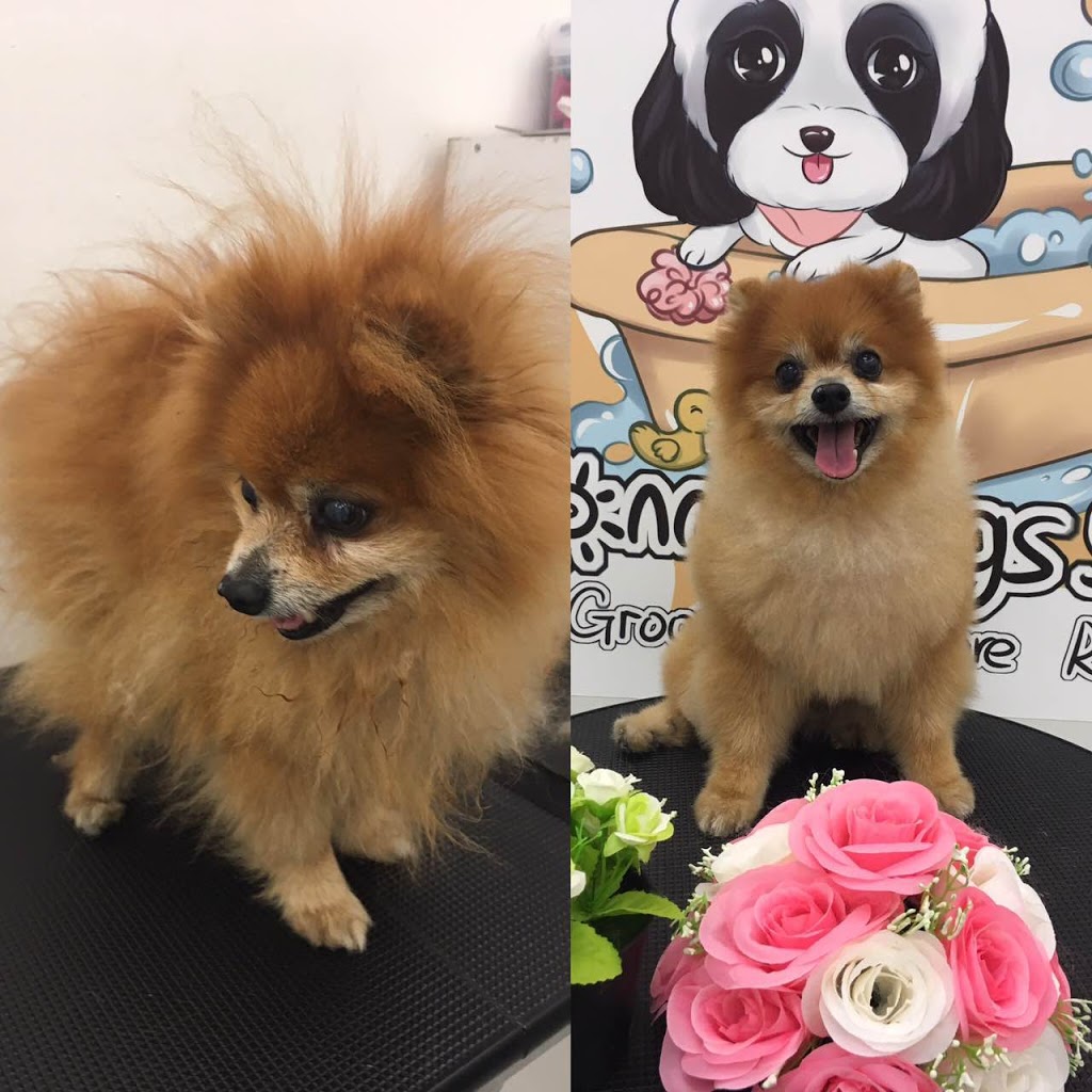 Sunny Dogs Salon | 3/635 Gardeners Rd, Mascot NSW 2020, Australia | Phone: 0402 635 186