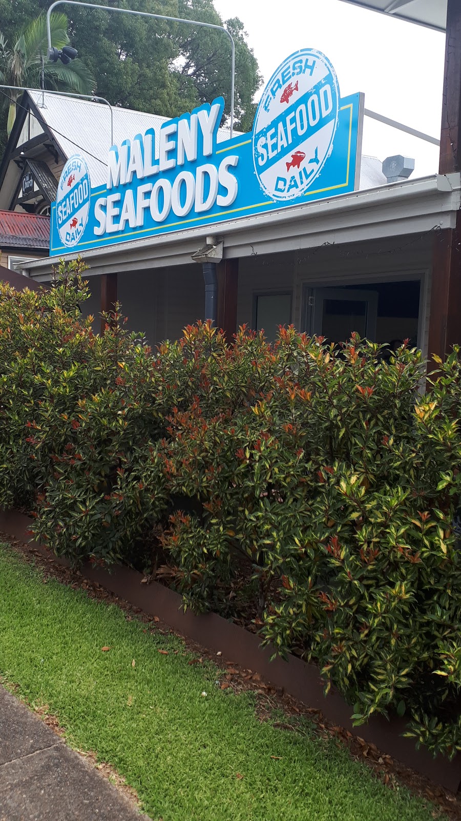 Maleny Seafoods | restaurant | 72 Tourist Drive 23, Maleny QLD 4552, Australia