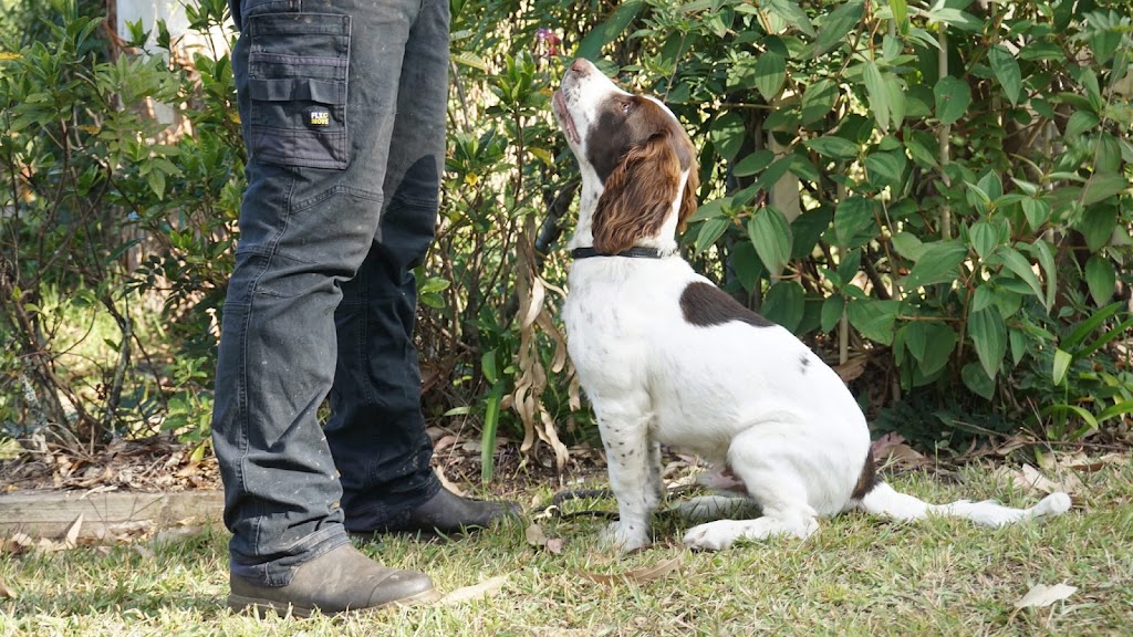 Cutting Edge Canine | 102 Talbot Rd, Hazelbrook NSW 2779, Australia | Phone: 0410 672 228