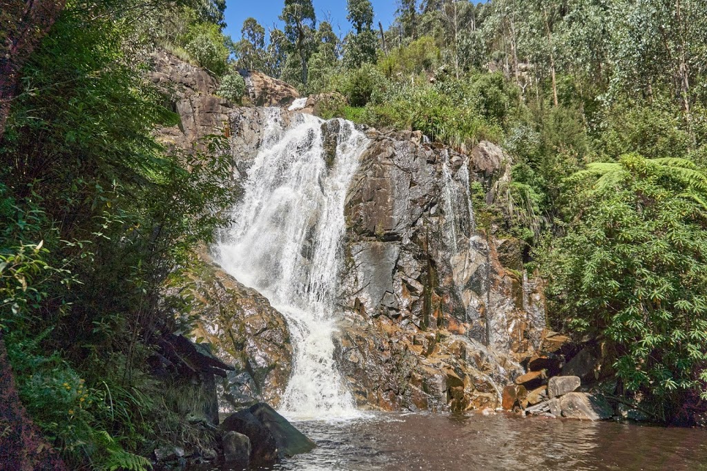 Steavenson Falls | tourist attraction | Falls Rd, Marysville VIC 3779, Australia | 0359634567 OR +61 3 5963 4567