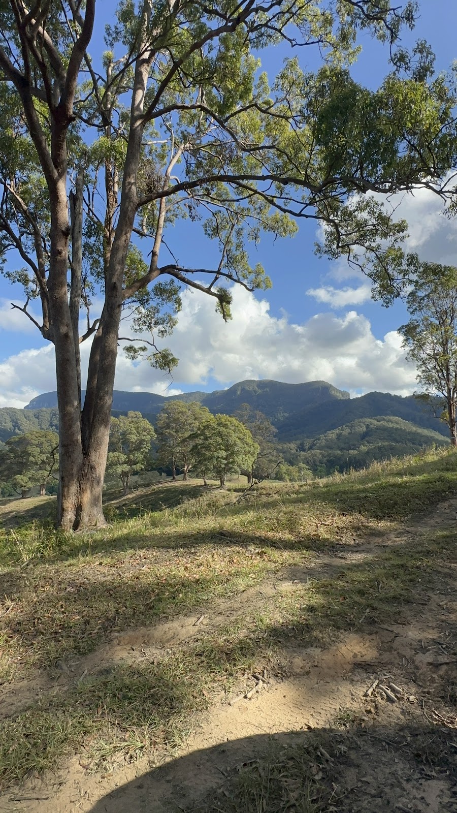 Crystal Creek Park | View Map, 530 Upper Crystal Creek Rd, Upper Crystal Creek NSW 2484, Australia | Phone: 1300 271 270