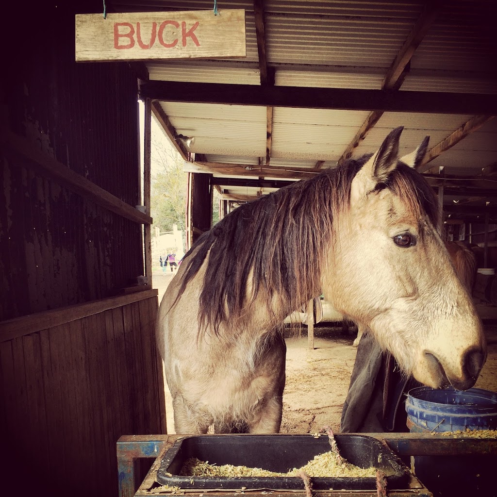 Boomerang Holiday Ranch | Boomerang Holiday Camp, 23 Tipperary Springs Rd, Daylesford VIC 3460, Australia | Phone: (03) 5348 2525